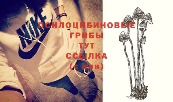 твердый Балахна