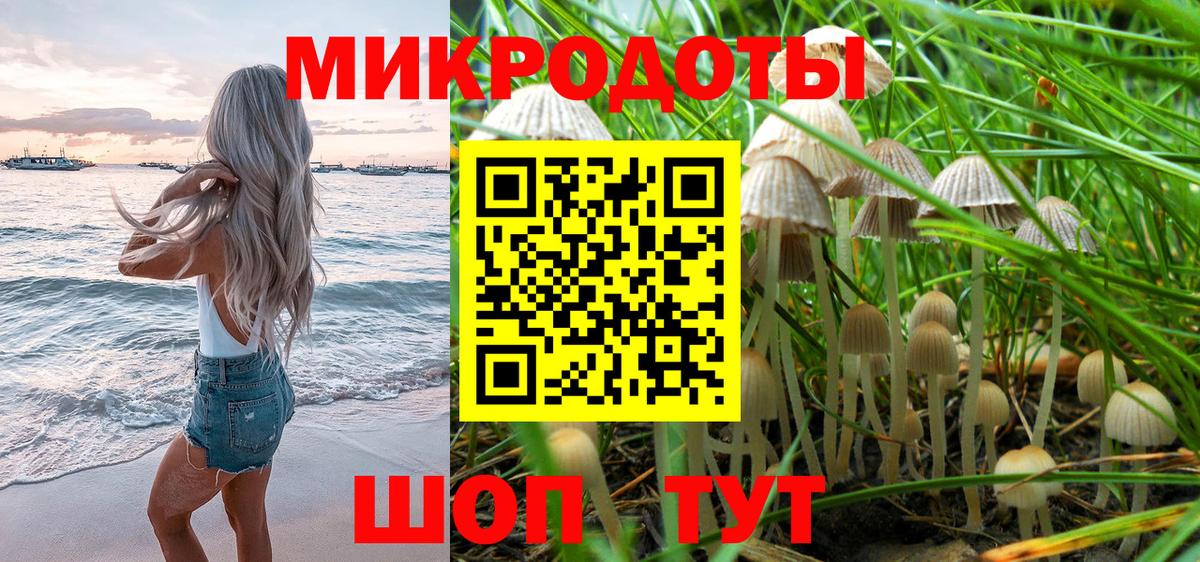 Майкоп  Галлюциногенные грибы мицелий  Вход с VPN  Галлюциногенные грибы GOLDEN TEACHER 