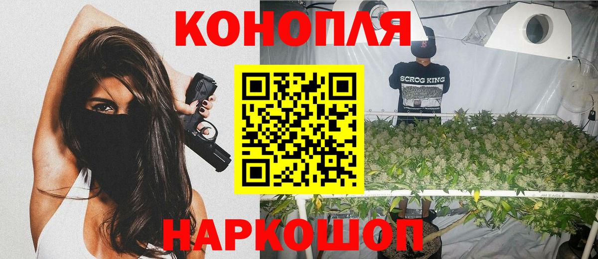 Бошки Шишки тримм  Канабис марихуана  МАРИХУАНА Amnesia  Майкоп  Вход с VPN 